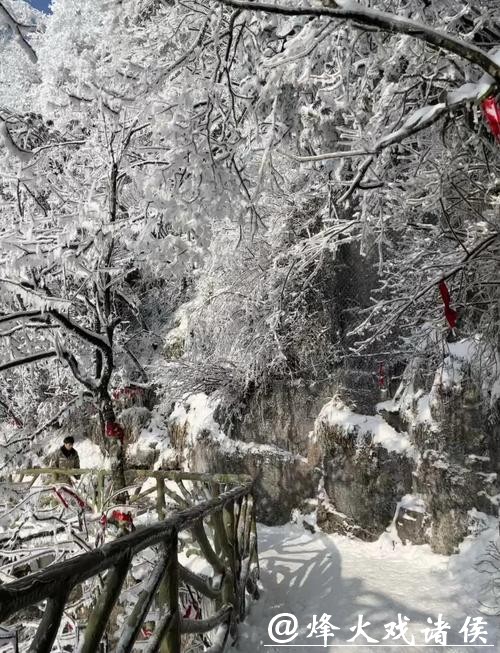 赏雪张家界 赏雪张家界